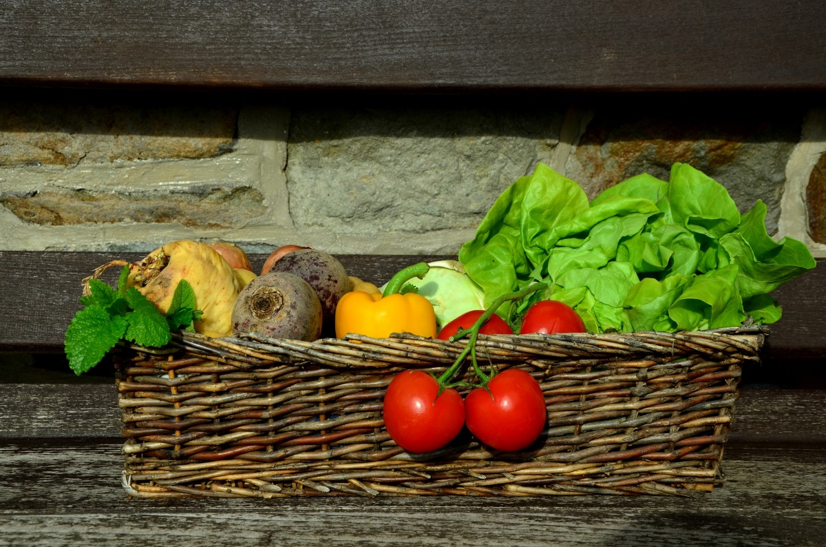 corps,repas,aliment,manger,chrononutrition,pleine conscience,bien manger